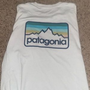patagonia t-shirt